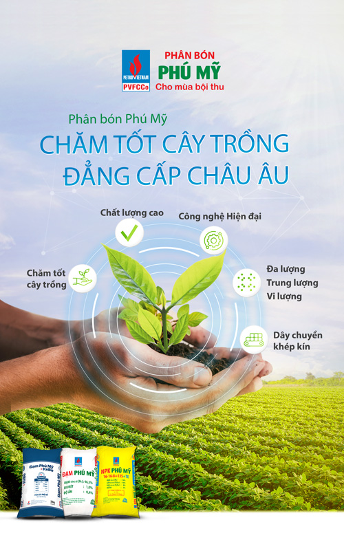 Quảng cáo